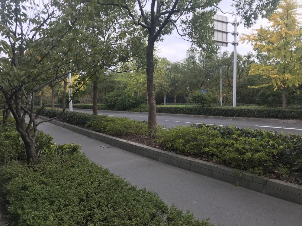 【上海市信达泰禾上海院子楼盘】房价,户型,开盘时间详情 实景图